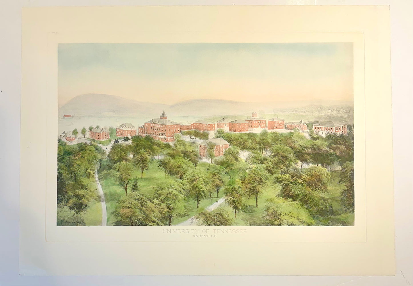University of Tennessee (Knoxville), 20th Century Print