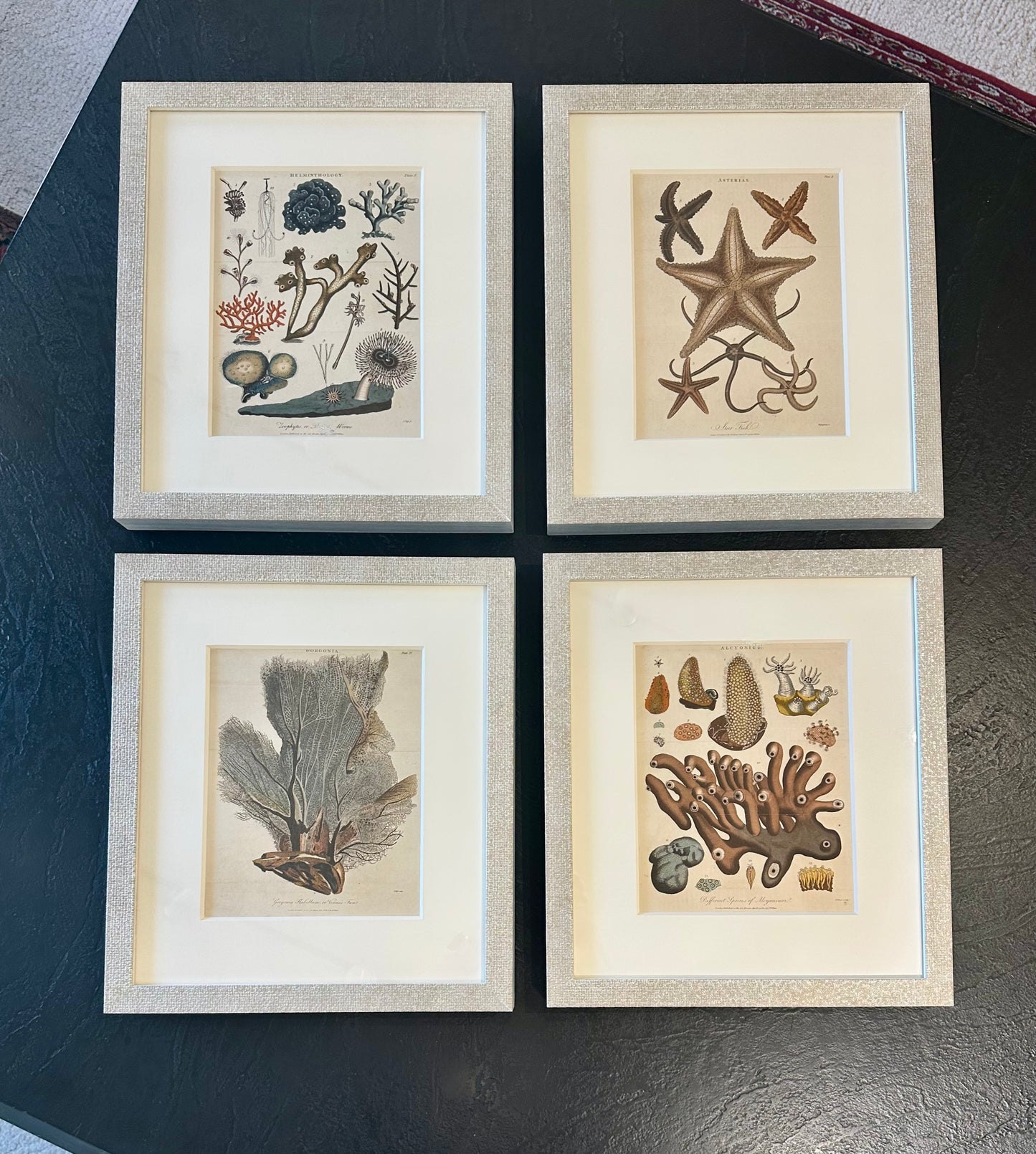 Starfish, Marine Life, Corals (1807), Set of 4 