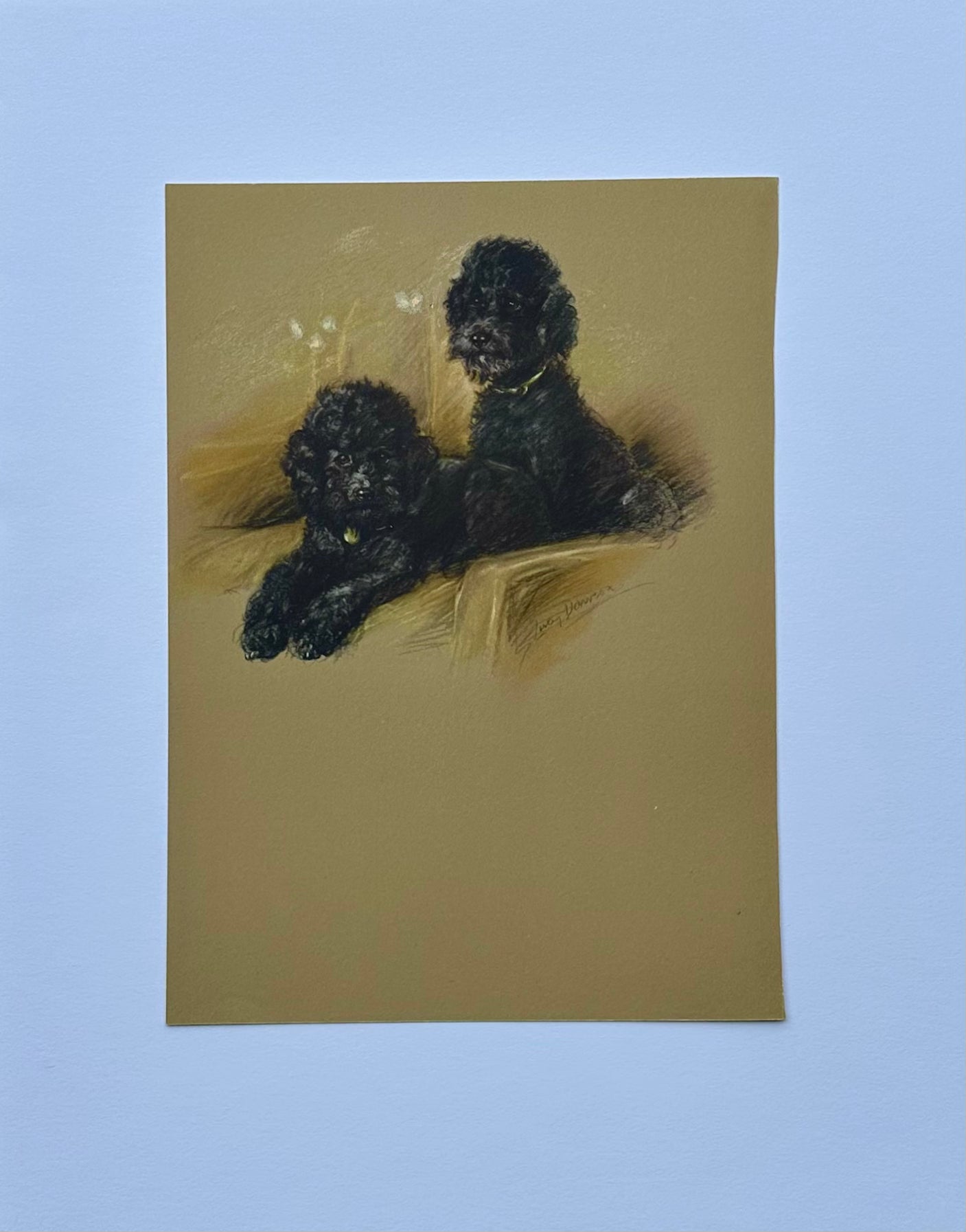 Black Poodle Dogs by Lucy Dawson, 1946