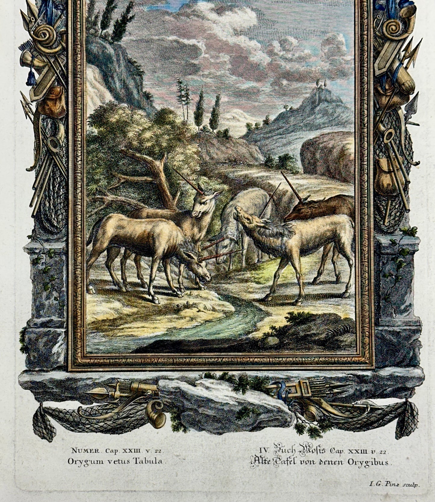 Antelopes Original Print by Johann Jakob Scheuchzer, 1731