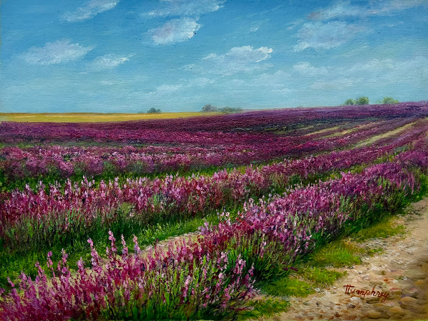 Lavender Fields Landscape Oil Painting on Canvas, Unstretched, by Humprey
