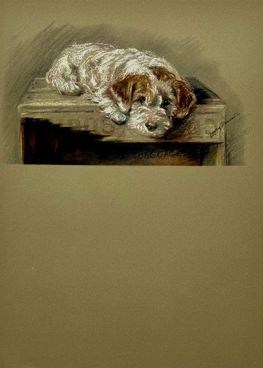 Sealyham Terrier by Lucy Dawson, 1946