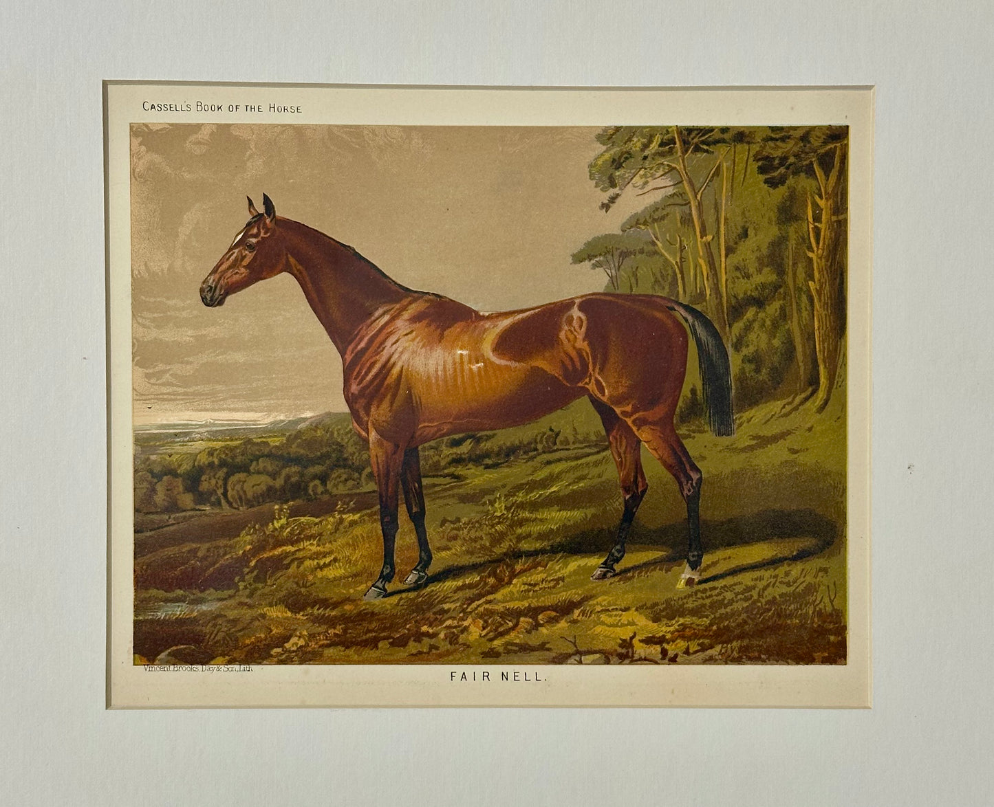 Fair Nell Horse Print by Cassell, 1885