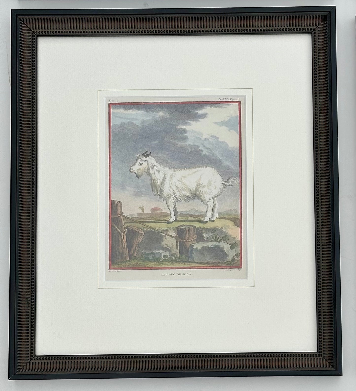 S/4 Buffon Animals, Original engravings, 1755 (framed)